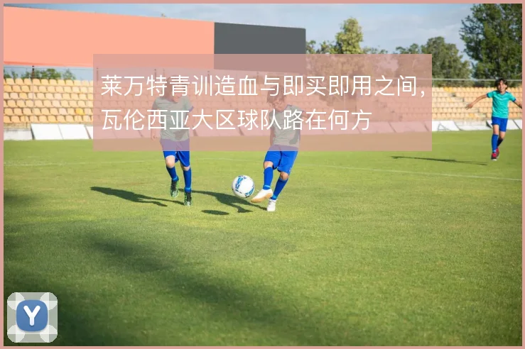 莱万特青训造血与即买即用之间，瓦伦西亚大区球队路在何方