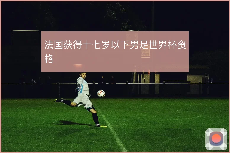 法国获得十七岁以下男足世界杯资格