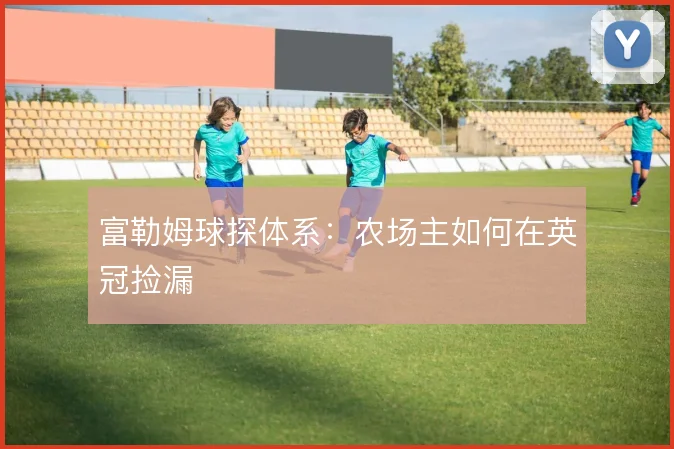 富勒姆球探体系：农场主如何在英冠捡漏