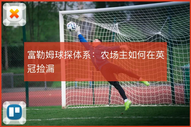 富勒姆球探体系：农场主如何在英冠捡漏