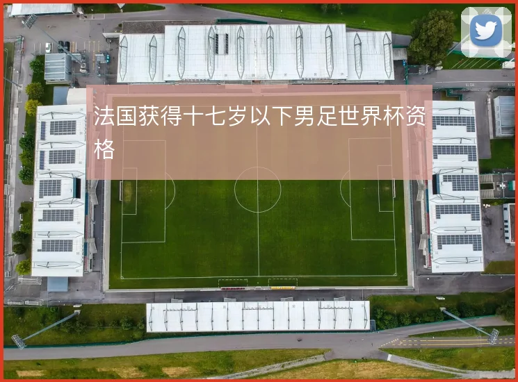 法国获得十七岁以下男足世界杯资格